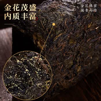 七春安化黑茶1000g茶叶礼盒2013年湖南特产金花茯砖毕业送老师长辈礼