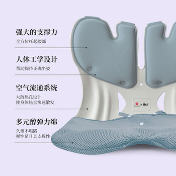 BKT护腰靠坐垫夏季凉垫沙发垫人体工学久坐不累 超大版蓝色+坐垫套