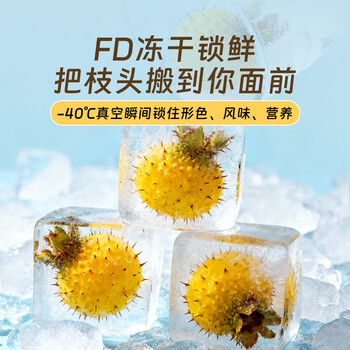 贡苑 冻干刺梨干100g 贵州原产手工脱刺含高VC大果干泡水喝果茶养生茶