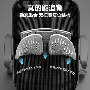 乐班人体工学腰靠垫腰靠腰托背靠 办公室腰部靠垫 清凉款 乐班人体工学腰靠垫腰靠腰托背靠 办公室腰部靠垫 清凉款