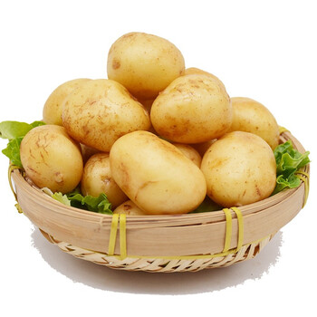 【买5斤送4斤】云南新鲜迷你小土豆小洋芋高原红皮黄心土豆马铃薯新鲜