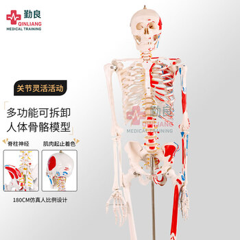 ee9b3a4f6d9474bc.jpg