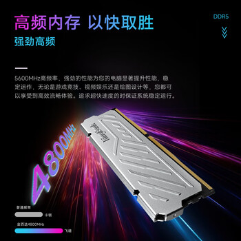 金百达（KINGBANK）16GB DDR5 4800 台式机内存条 银爵
