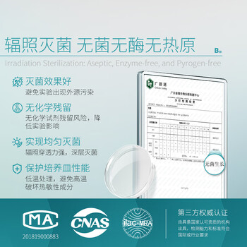 比克曼生物 一次性塑料培养皿整箱圆形实验室无菌植物细菌酵种弧菌微生物平板平皿 常规款90*15mmA款500个