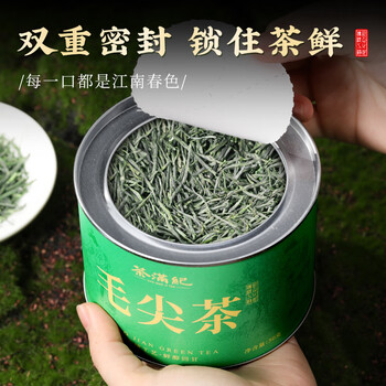 茶满纪茶叶绿茶 毛尖茶浓香新茶2025小罐装春茶嫩芽茶叶50g自己喝
