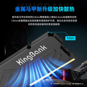 金百达（KINGBANK）8GB DDR4 3200 台式机内存条  intel专用条 黑爵