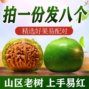 文玩核桃满天星45品牌及商品- 京东