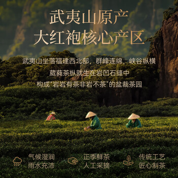 武夷山大红袍中谷茶业乌龙茶武夷岩茶大红袍一级200g中火罐装茶叶