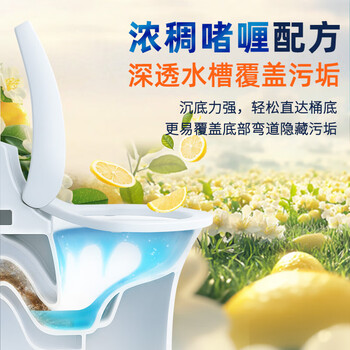 威猛先生(Mr Muscle)洁厕灵 600g*2瓶 柠檬草香 洁厕剂 马桶清洁 超市同款 威猛先生(Mr Muscle)洁厕灵 600g*2瓶 柠檬草香 洁厕剂 马桶清洁 超市同款