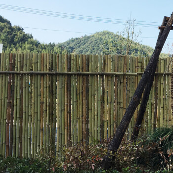 竹子籬笆庭院裝飾草坪護欄竹竿柵欄花園圍欄別墅圍牆院子戶外室外