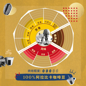 拉瓦萨（LAVAZZA）意大利进口咖啡欧罗咖啡粉250g