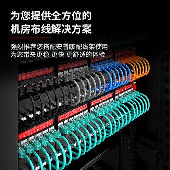 安普康（AMPCOM）超六类网络跳线0.5米 万兆无氧铜阻燃CAT6A类成品网线UTP 机柜配线架交换机连接线缆 黑AMC6A5BK