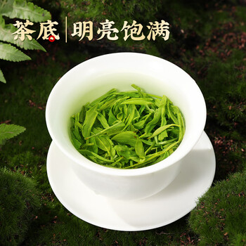 茶满纪茶叶绿茶 毛尖茶浓香新茶2025小罐装春茶嫩芽茶叶50g自己喝
