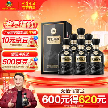 古井貢酒 古20（20年）2本入り 白酒 500ml 中国酒 古井貢酒 古20（20年