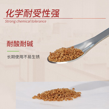 LABSHARK 不锈钢药勺实验室微量药勺取样药粉勺子塑料药勺小药勺量勺药匙药铲 【22cm厚款单头】1个