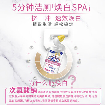 威猛先生(Mr Muscle)洁厕灵 600g*2瓶 恋恋桃花 含84精华 洁厕剂 除菌洁厕液 马桶清洁 威猛先生(Mr Muscle)洁厕灵 600g*2瓶 恋恋桃花 含84精华 洁厕剂 除菌洁厕液 马桶清洁