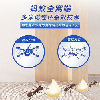 榄菊蚂蚁药全窝端10g杀蚁饵剂灭蚁胶饵 连环杀蚁除蚂蚁药 榄菊蚂蚁药全窝端10g杀蚁饵剂灭蚁胶饵 连环杀蚁除蚂蚁药