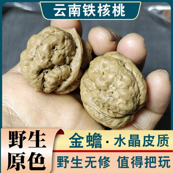 铁核桃文玩核桃品牌及商品- 京东