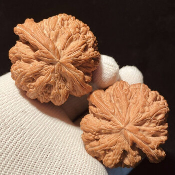 大粗筋狮子头价格报价行情- 京东