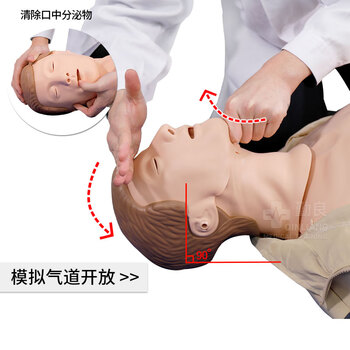 勤良心肺复苏训练假人模型心肺复苏除颤模拟人CPR人工呼吸胸外按压气道开放安全急救培训假人模型QL/CPR480A