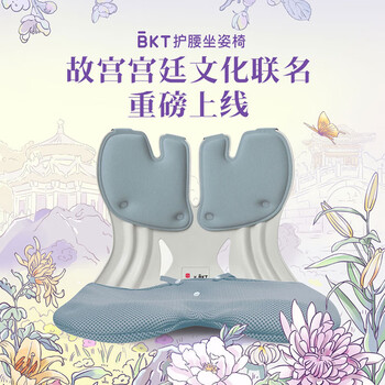 BKT人体工学办公室坐姿椅学生矫姿坐垫美臀腰靠垫 加大蓝色+坐垫套