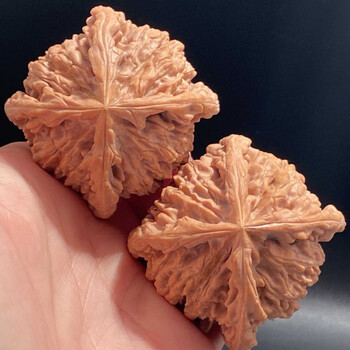 文玩堂：胡桃（鳳羽正四棱）特卖 文玩四棱核桃品牌及商品- 京东