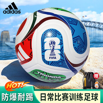 世界杯5号足球价格报价行情- 京东