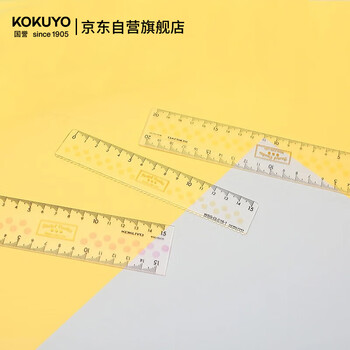 国誉淡彩曲奇亚克力高考透明直尺20cm 210*40*2.5mm颜色随机1个装 WSG-CLC20