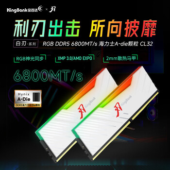 金百达（KINGBANK）32GB(16GBX2)套装 DDR5 6800 台式机内存条海力士A-die颗粒 白刃RGB灯条 C32 Deepseek硬件