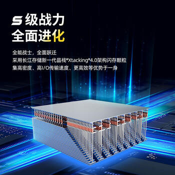 致态(ZhiTai)长江存储 4TB SSD固态硬盘 NVMe M.2接口 TiPlus7100s系列 致态(ZhiTai)长江存储 4TB SSD固态硬盘 NVMe M.2接口 TiPlus7100s系列