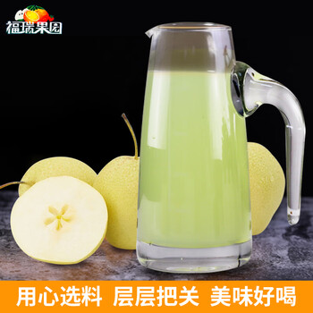 福瑞德 冰糖雪梨粉1000g/袋 速溶固体饮料果珍特浓果汁粉