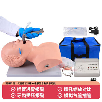 勤良成人电子气管插管训练模型（牙齿受压警报）口鼻咽喉插管置管操作练习模拟人气道阻塞通气插管模型QL/J5S