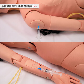 勤良高级多功能护理训练模拟人 老年护理技术训练模型(女性)血液测量 导尿穿刺 褥疮护理训练模型QL/H220B 勤良高级多功能护理训练模拟人 老年护理技术训练模型(女性)血液测量 导尿穿刺 褥疮护理训练模型QL/H220B