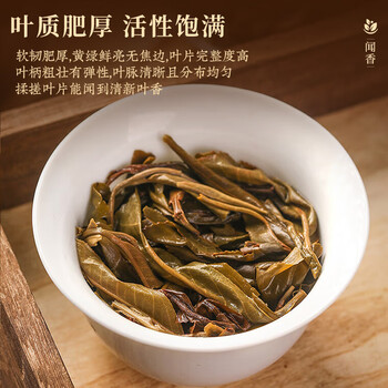 东方大师茶叶 普洱茶云南古树普洱生茶冰岛普洱散茶生普大分量袋装500g