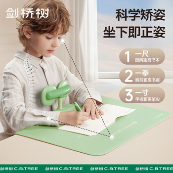 剑桥树儿童坐姿矫正器桌面款小学生写作业学习护眼写字姿势纠正器防低头驼背 水雾蓝