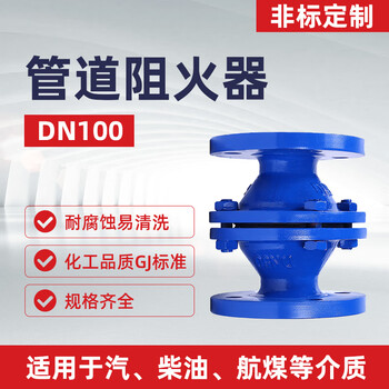 蓝宇星琳管道阻火器 呼吸阀阻火器GZW-I-100-16阻火阻爆 碳钢DN100