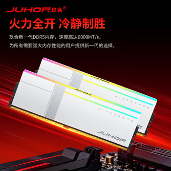 JUHOR玖合 32GB(16GBx2)套装 DDR5 6000 台式机内存条  海力士A-die颗粒 CL28 异刃RGB灯条
