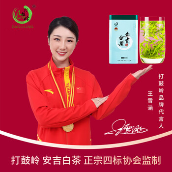 打鼓岭茶叶绿茶 正宗安吉白茶新茶春茶明前100克中秋礼盒送人