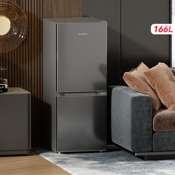 荣事达（Royalstar）166升小冰箱小型家用出租房办公室宿舍双开门两门双门二门电冰箱节能省电低音钛深灰色R166