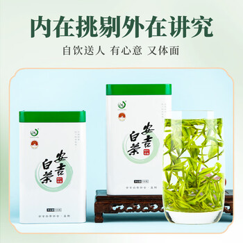 打鼓岭茶叶绿茶正宗安吉白茶新茶春茶雨前实惠款200g嫩芽原产自己喝送人