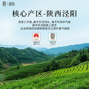 盛安长【买1送1】特级泾阳茯茶黑茶陕西西安特产送礼礼物茶叶礼盒 400g