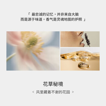 MarLab 内衣裤专用洗衣液 抑菌免搓洗涤剂手洗清洗液300ml