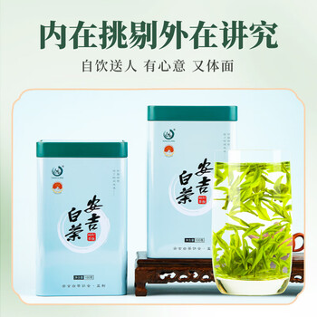 打鼓岭茶叶绿茶 正宗安吉白茶新茶春茶明前100克中秋礼盒送人