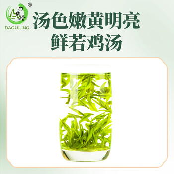 打鼓岭茶叶绿茶 正宗安吉白茶新茶春茶明前100克中秋礼盒送人