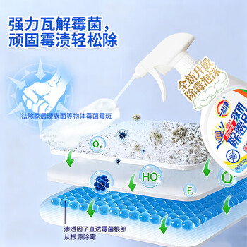 一品净 强力除霉剂500g 墙面瓷砖洗衣机胶圈除霉菌家用清洁喷雾热门商品