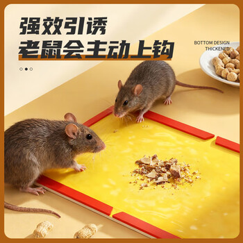 绿叶(Green Leaf)粘鼠板超强力粘板老鼠贴灭鼠老鼠神器6张装GL1005 绿叶(Green Leaf)粘鼠板超强力粘板老鼠贴灭鼠老鼠神器6张装GL1005