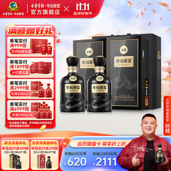 古井貢酒 古20（20年）2本入り 白酒 500ml 中国酒 古井貢酒 古20（20年