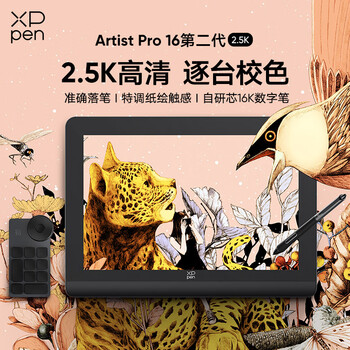 XPPen Artist Pro16(Gen2)数位屏 2.5K高清电脑绘画专业手绘屏 数位板 手写板连电脑画板手绘板绘画板
