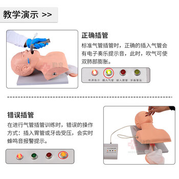 勤良成人电子气管插管训练模型（牙齿受压警报）口鼻咽喉插管置管操作练习模拟人气道阻塞通气插管模型QL/J5S