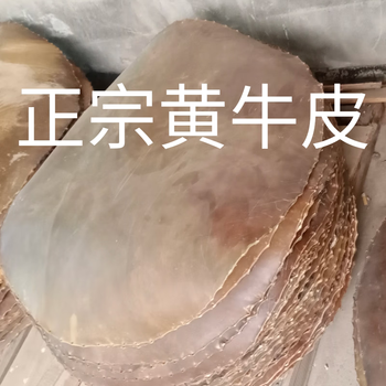 鼓皮- 京东